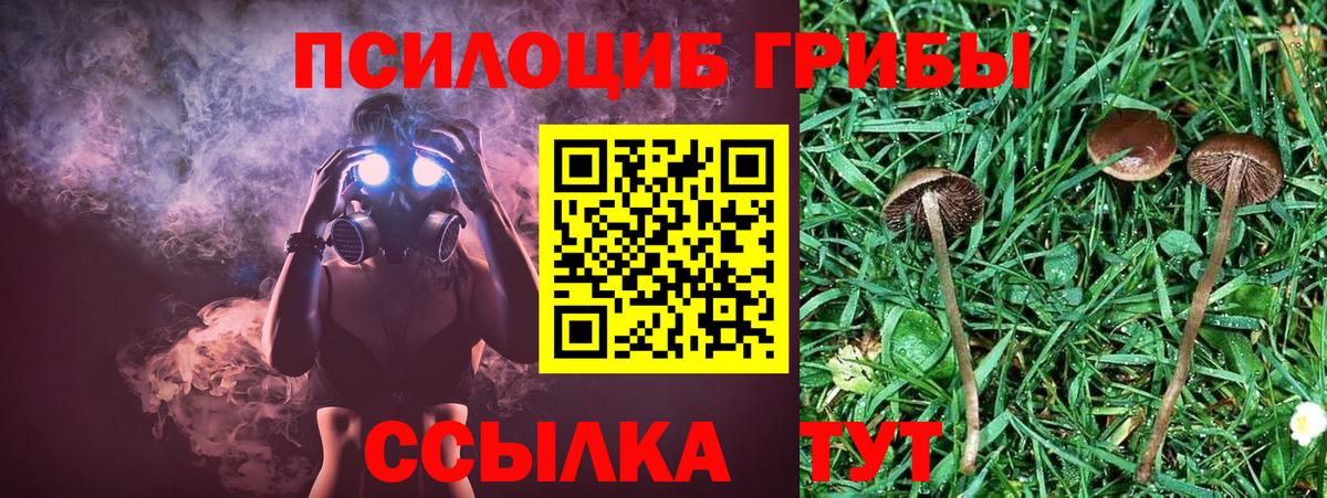 Галлюциногенные грибы мухоморы  Вход с VPN  Абинск  Галлюциногенные грибы Magic Shrooms 